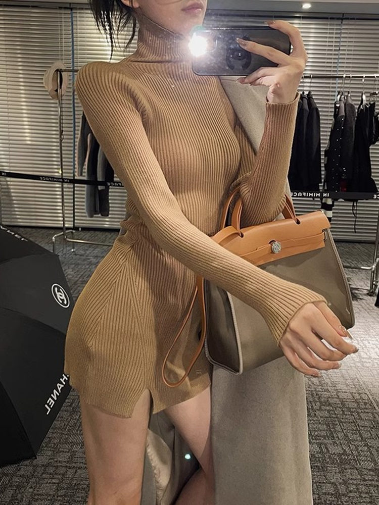 여성 바디콘 미니 니트 드레스 터틀넥 솔리드 그레이 리 - Bodycon Long Sleeve Ribbed Dress 리뷰 및 가격